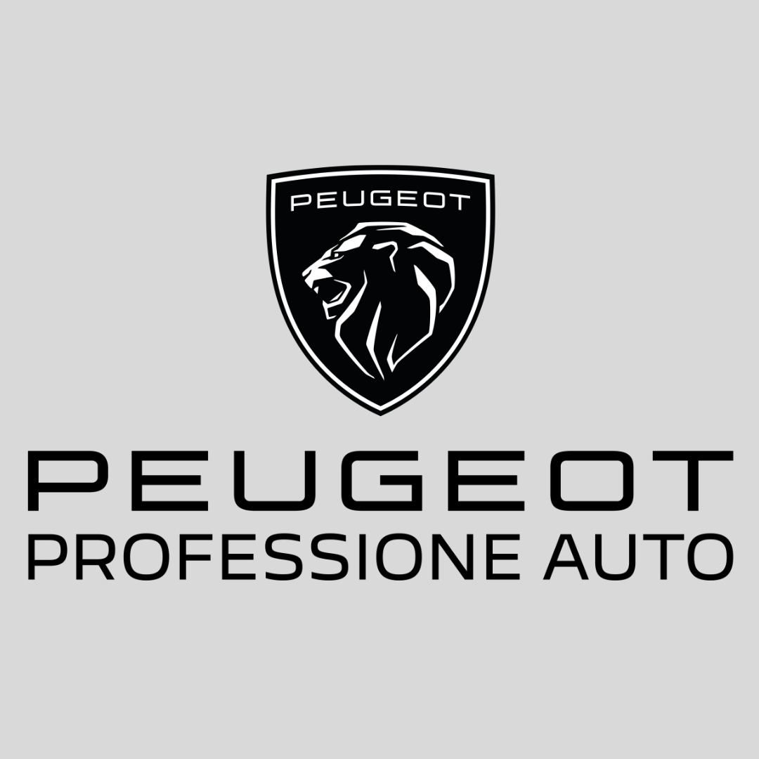 Professione Auto